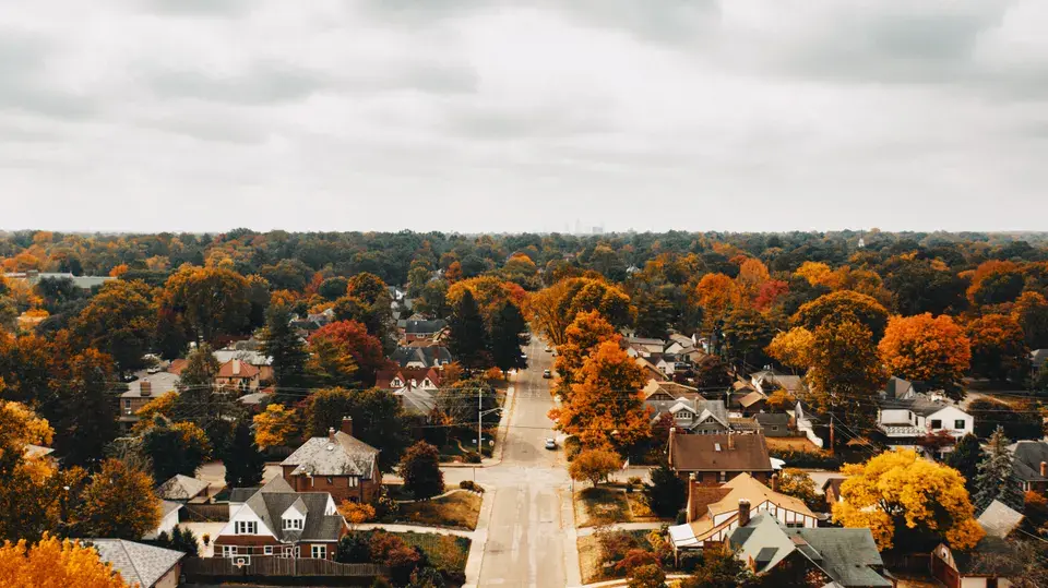 mold removal Country Homes
